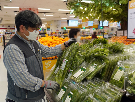 이마트 매장에서 직원이 곰취, 명이, 눈개승마, 참두릅 등 봄철 산나물을 진열하고 있다. 이마트 제공